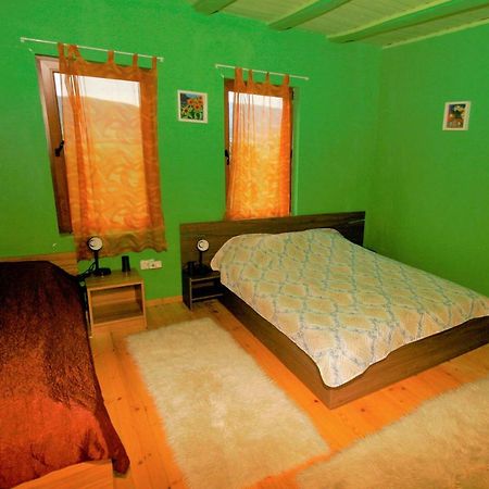 Chuchi Guest House 1 Zlatna Panega المظهر الخارجي الصورة