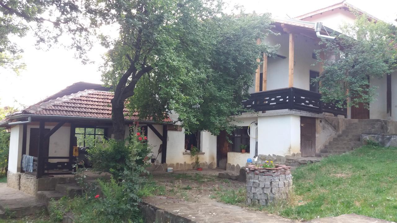 Chuchi Guest House 1 Zlatna Panega المظهر الخارجي الصورة