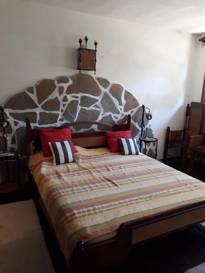 Chuchi Guest House 1 Zlatna Panega المظهر الخارجي الصورة
