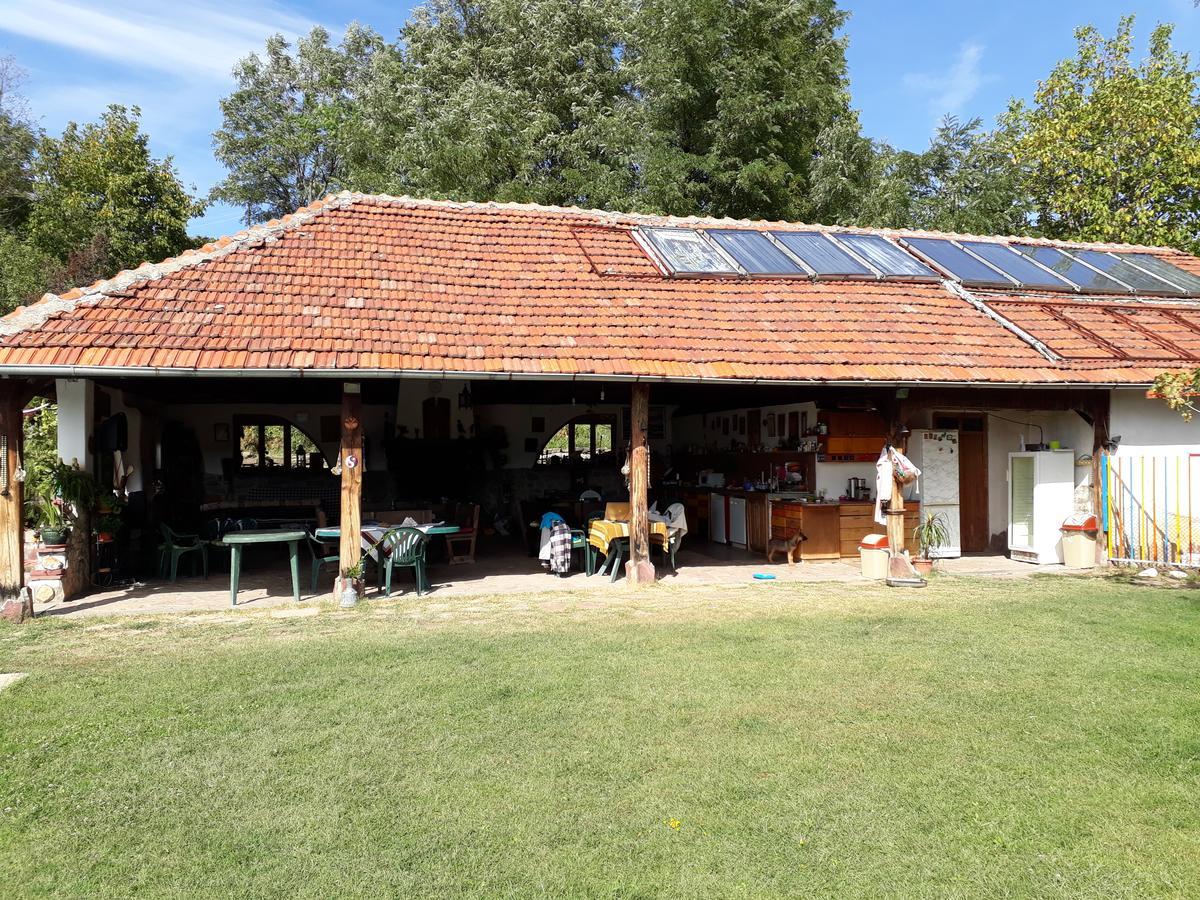 Chuchi Guest House 1 Zlatna Panega المظهر الخارجي الصورة