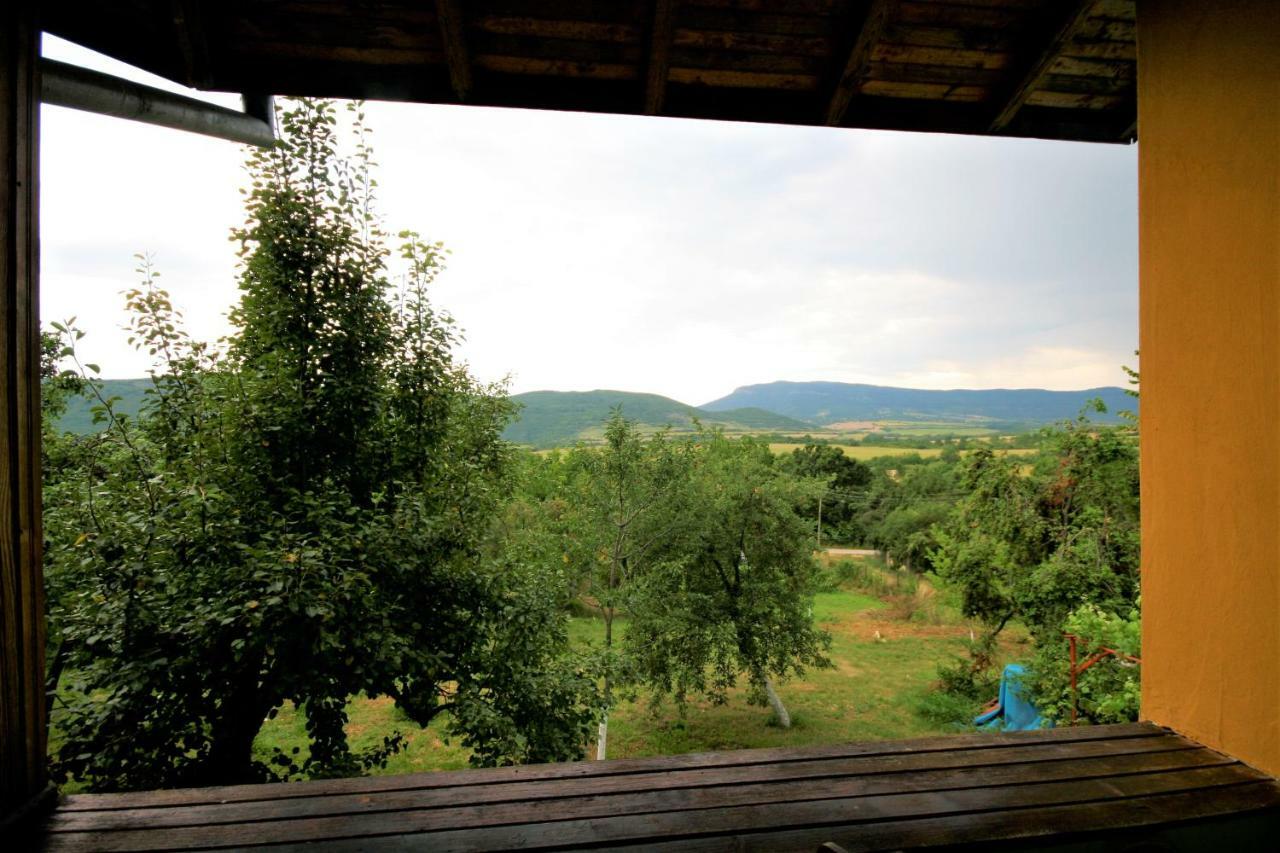 Chuchi Guest House 1 Zlatna Panega المظهر الخارجي الصورة