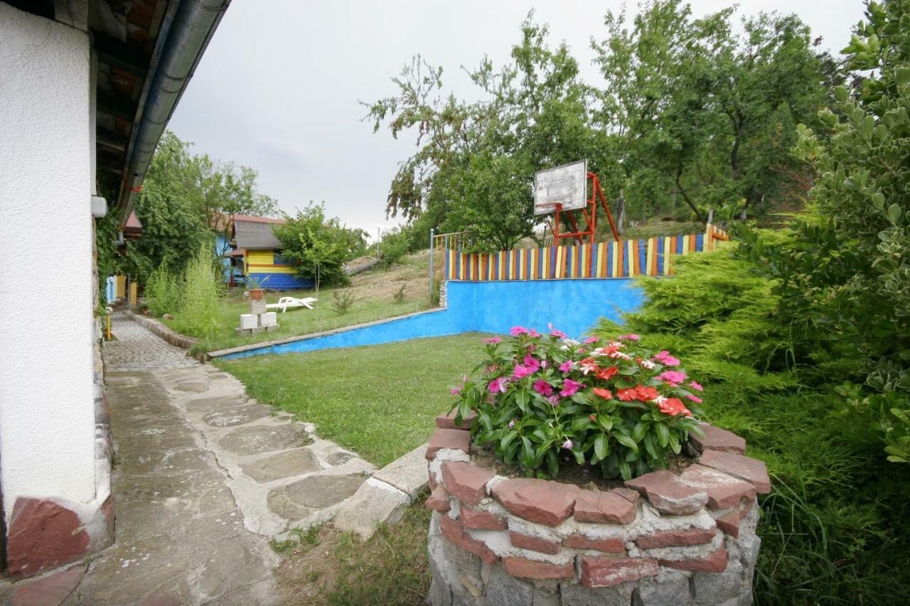 Chuchi Guest House 1 Zlatna Panega المظهر الخارجي الصورة