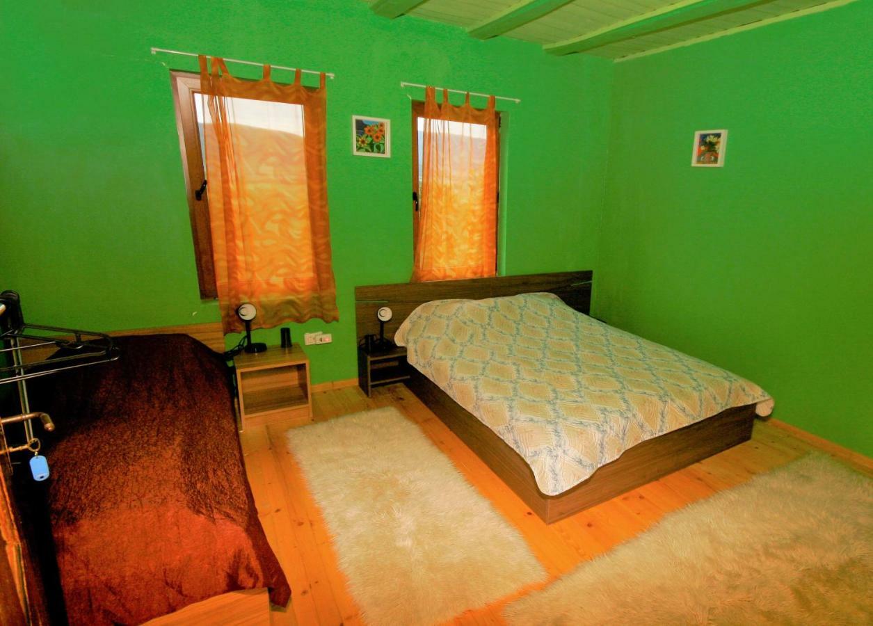 Chuchi Guest House 1 Zlatna Panega المظهر الخارجي الصورة