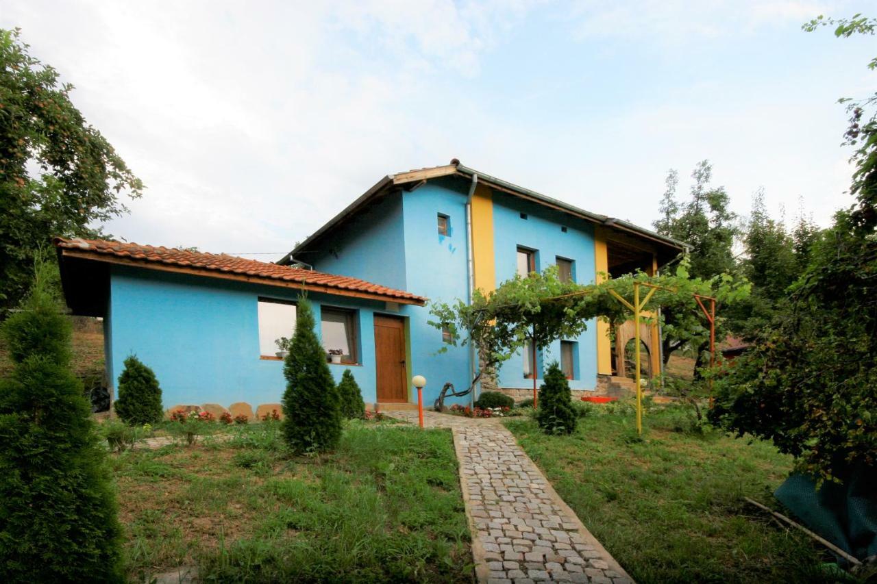 Chuchi Guest House 1 Zlatna Panega المظهر الخارجي الصورة