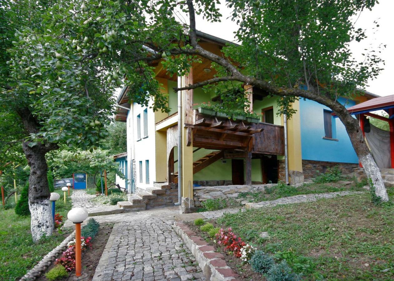 Chuchi Guest House 1 Zlatna Panega المظهر الخارجي الصورة