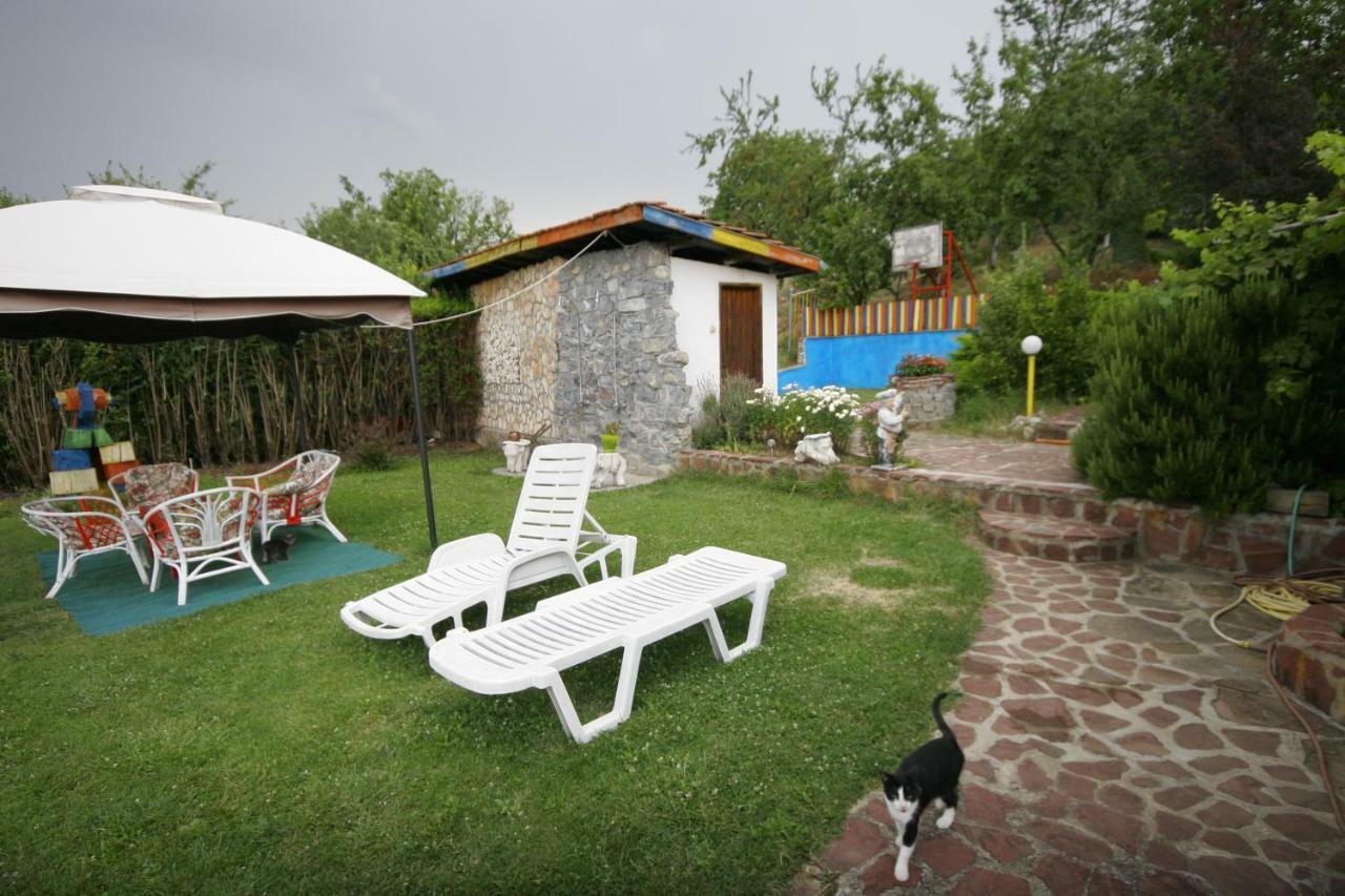 Chuchi Guest House 1 Zlatna Panega المظهر الخارجي الصورة
