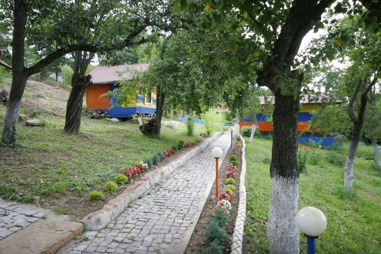 Chuchi Guest House 1 Zlatna Panega المظهر الخارجي الصورة